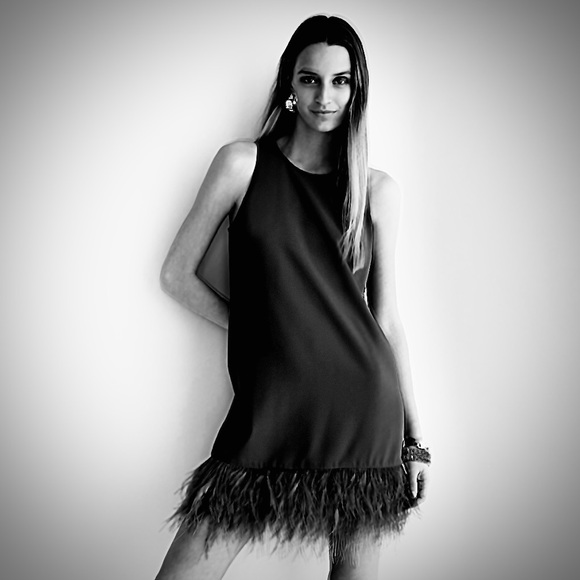 J. Crew Dresses & Skirts - J. CREW COLLECTION $350
BLACK CREPE FEATHER TRIM
SHIFT DRESS